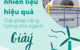 Chuyển đổi nhiên liệu hiệu quả - Giải pháp năng lượng cho ngành Giấy